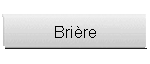 Brire