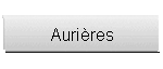 Aurires