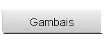 Gambais