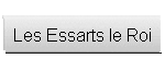 Les Essarts le Roi