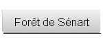 Forêt de Sénart