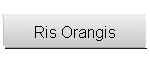 Ris Orangis