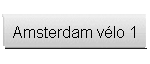 Amsterdam vlo 1