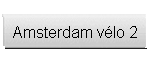 Amsterdam vlo 2