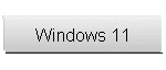 Windows 11