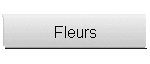 Fleurs