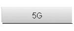 5G