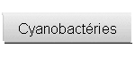 Cyanobactries