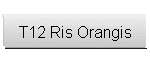 T12 Ris Orangis